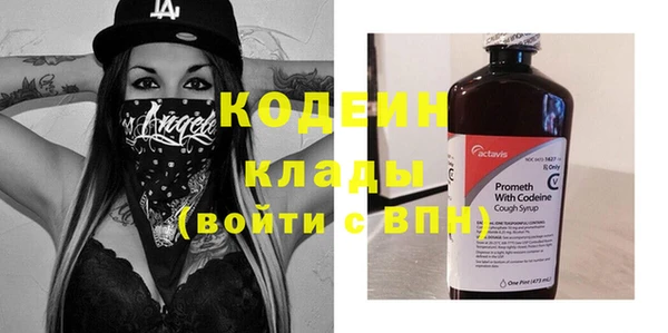 эйфоретик Бородино