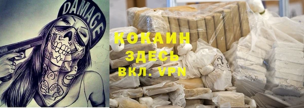 эйфоретик Бородино