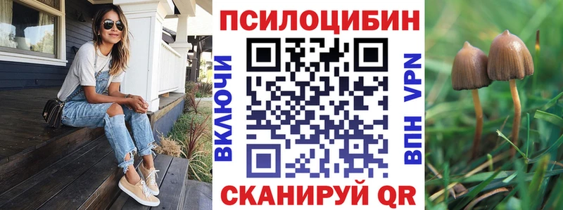 Псилоцибиновые грибы Magic Shrooms  Северск 