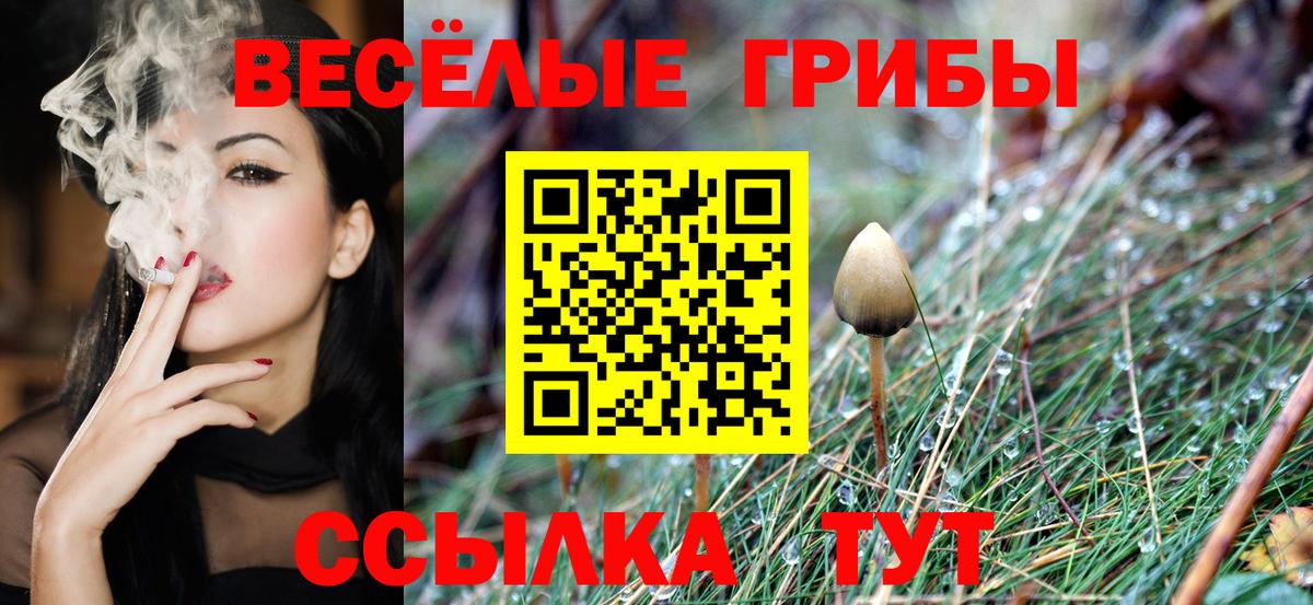 Северск  Псилоцибиновые грибы ЛСД  Вход с VPN  Галлюциногенные грибы мицелий 