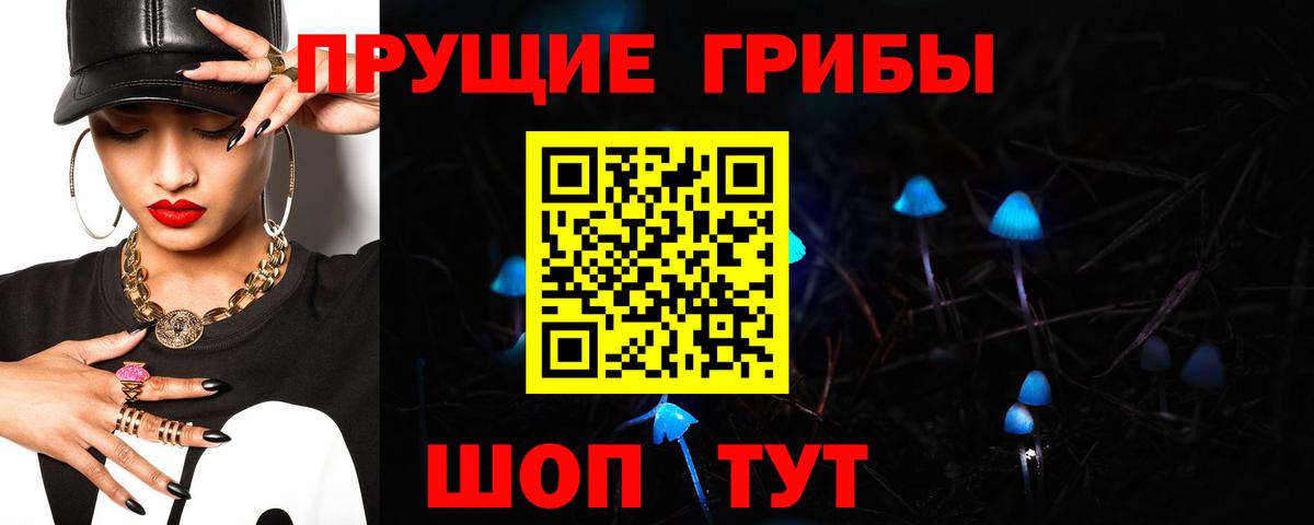 Галлюциногенные грибы Cubensis Северск