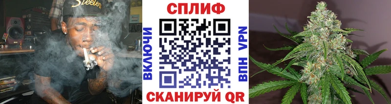 купить закладку  Северск  Конопля AK-47 